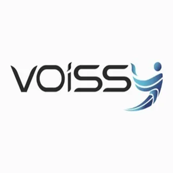 VOISSY bezahlte Umfragen