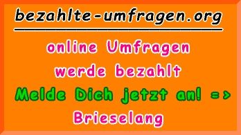 bezahlte Umfragen in Brieselang