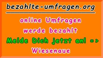 bezahlte Umfragen in Wiesenaue
