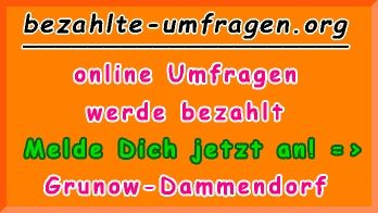 bezahlte Umfragen in Grunow-Dammendorf