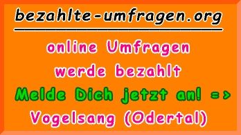 bezahlte Umfragen in Vogelsang (Odertal)