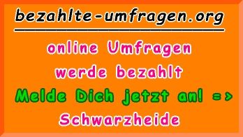 bezahlte Umfragen in Schwarzheide