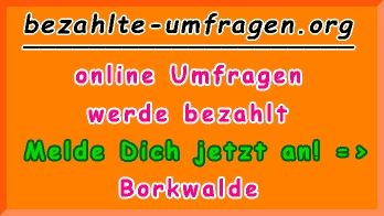 bezahlte Umfragen in Borkwalde