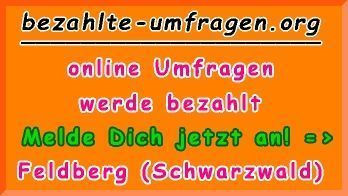 bezahlte Umfragen in Feldberg (Schwarzwald)