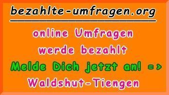 bezahlte Umfragen in Waldshut-Tiengen