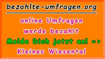 bezahlte Umfragen in Kleines Wiesental
