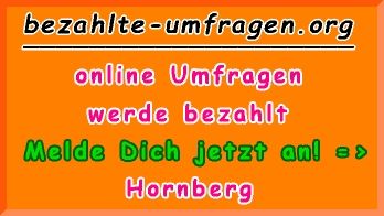 bezahlte Umfragen in Hornberg