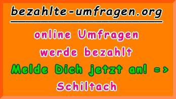 bezahlte Umfragen in Schiltach