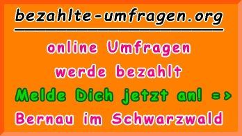 bezahlte Umfragen in Bernau im Schwarzwald
