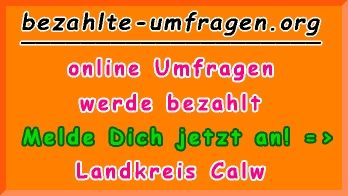 bezahlte Umfragen in Landkreis Calw