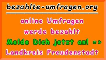 bezahlte Umfragen in Landkreis Freudenstadt