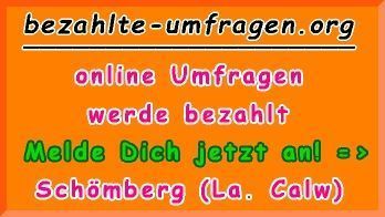 bezahlte Umfragen in Schömberg (La. Calw)