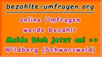 bezahlte Umfragen in Wildberg (Schwarzwald)