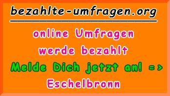 bezahlte Umfragen in Eschelbronn