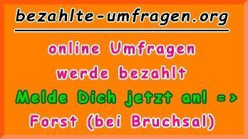 bezahlte Umfragen in Forst (bei Bruchsal)
