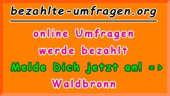 bezahlte Umfragen in Waldbronn