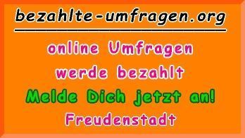 bezahlte Umfragen in Freudenstadt