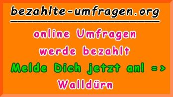 bezahlte Umfragen in Walldürn