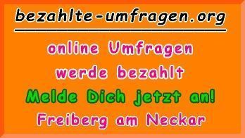 bezahlte Umfragen in Freiberg am Neckar