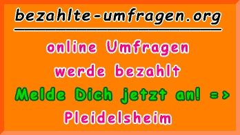 bezahlte Umfragen in Pleidelsheim