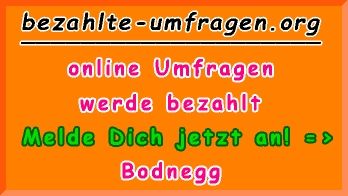 bezahlte Umfragen in Bodnegg