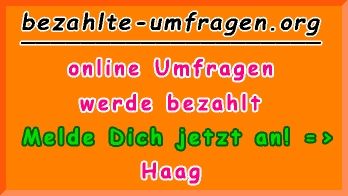 bezahlte Umfragen in Haag