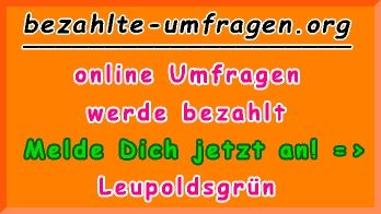 bezahlte Umfragen in Leupoldsgrün