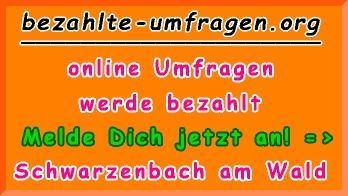 bezahlte Umfragen in Schwarzenbach a.Wald
