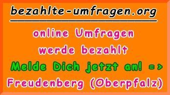bezahlte Umfragen in Freudenberg (Oberpfalz)