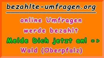 bezahlte Umfragen in Wald (Oberpfalz)