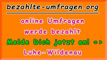 bezahlte Umfragen in Luhe-Wildenau