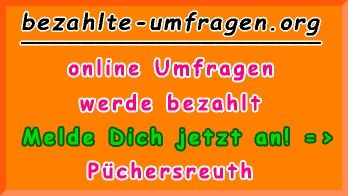 bezahlte Umfragen in Püchersreuth