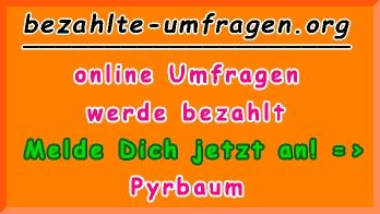 bezahlte Umfragen in Pyrbaum