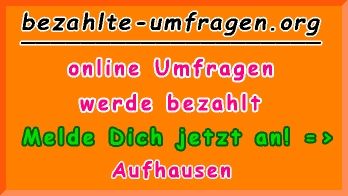 bezahlte Umfragen in Aufhausen