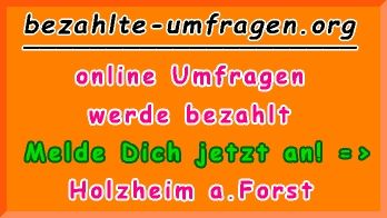 bezahlte Umfragen in Holzheim a.Forst