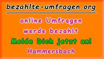 bezahlte Umfragen in Hammersbach