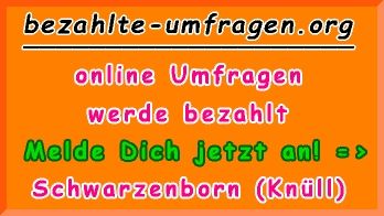 bezahlte Umfragen in Schwarzenborn (Knüll)