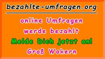 bezahlte Umfragen in Groß Wokern