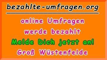 bezahlte Umfragen in Groß Wüstenfelde