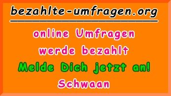 bezahlte Umfragen in Schwaan