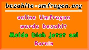 bezahlte Umfragen in Barnin