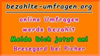 bezahlte Umfragen in Bresegard bei Picher