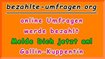bezahlte Umfragen in Gallin-Kuppentin