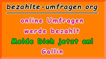 bezahlte Umfragen in Gallin