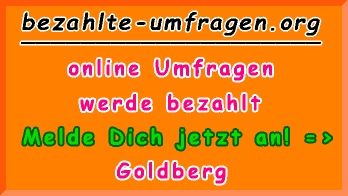 bezahlte Umfragen in Goldberg