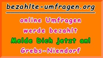 bezahlte Umfragen in Grebs-Niendorf