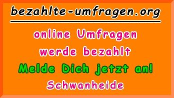 bezahlte Umfragen in Schwanheide