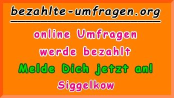 bezahlte Umfragen in Siggelkow