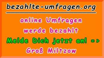 bezahlte Umfragen in Groß Miltzow
