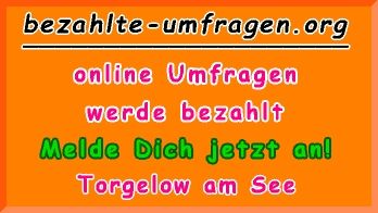 bezahlte Umfragen in Torgelow am See